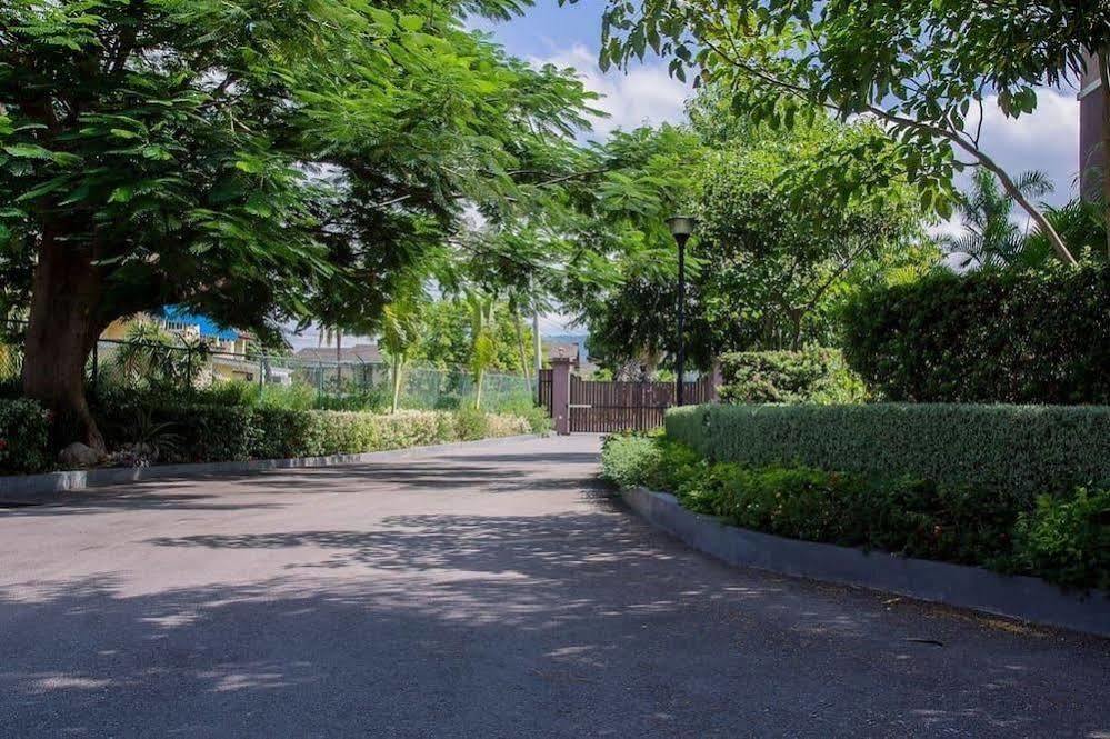 New Kingston Guest Apt At Sonoma Estate ภายนอก รูปภาพ