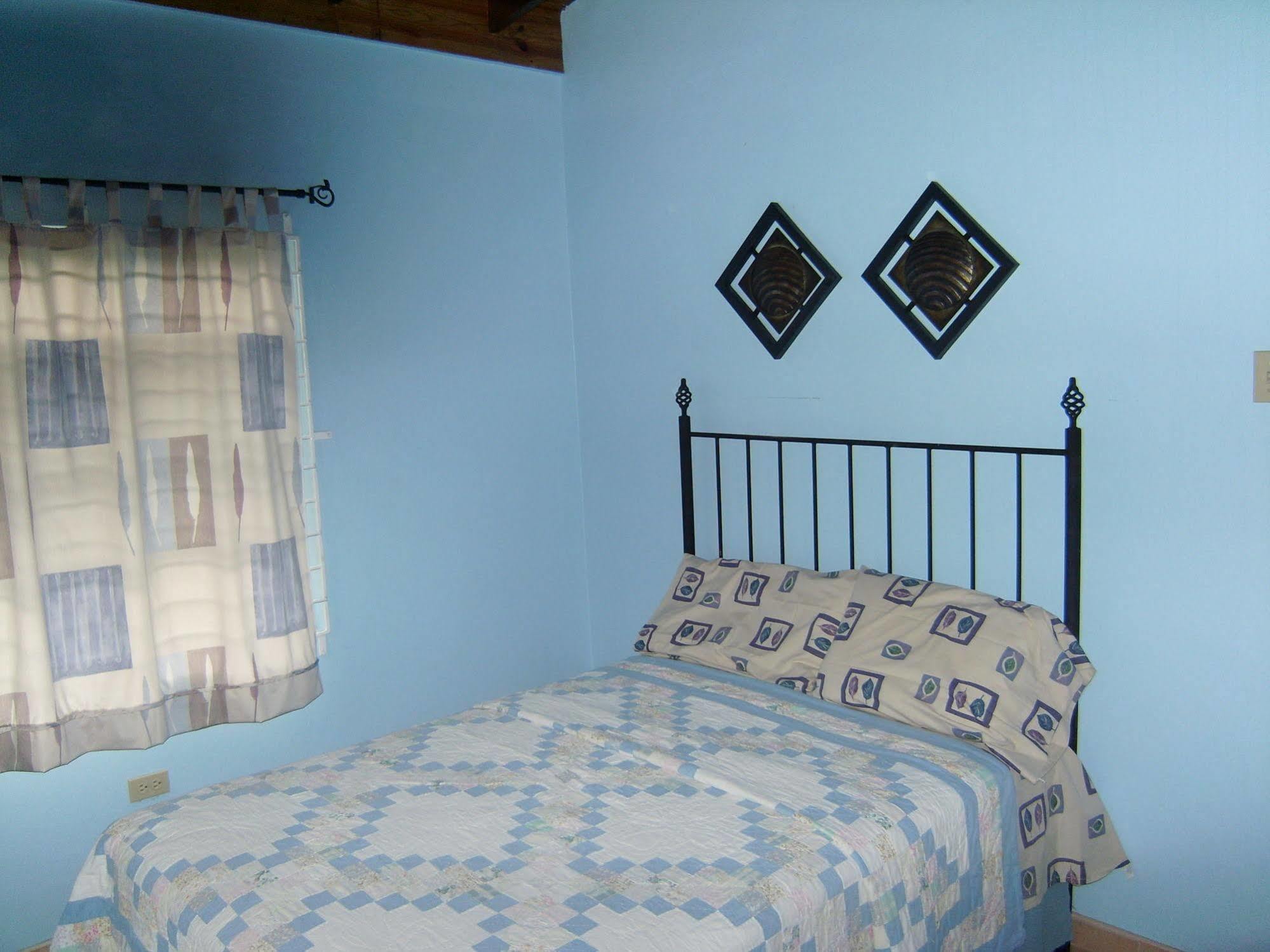 New Kingston Guest Apt At Sonoma Estate ภายนอก รูปภาพ